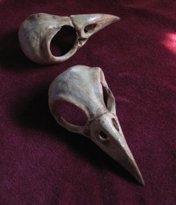 Finished skulls